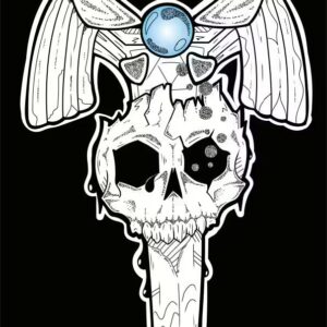 Link Never Listens Print